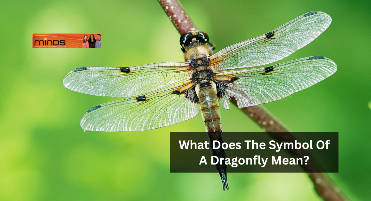 What Does The Symbol Of A Dragonfly Mean?